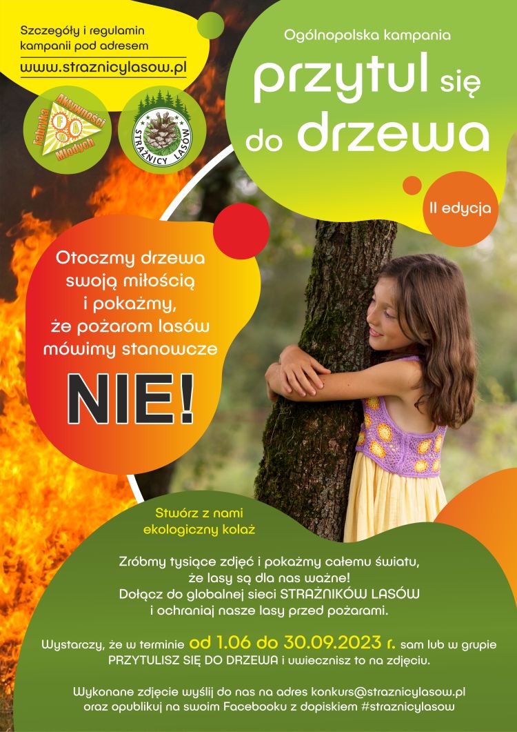 przytul sie do drzewa 2023 2